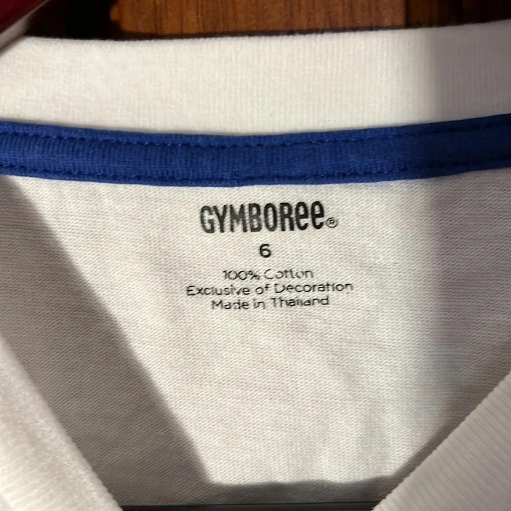 Gymboree Boys Size 6 Snowboarding Shirt Faux Layered Graphic Tee